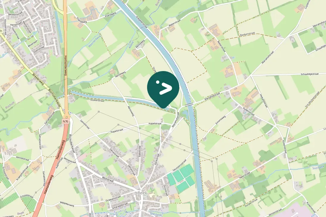 Gespotte Blauwe reiger