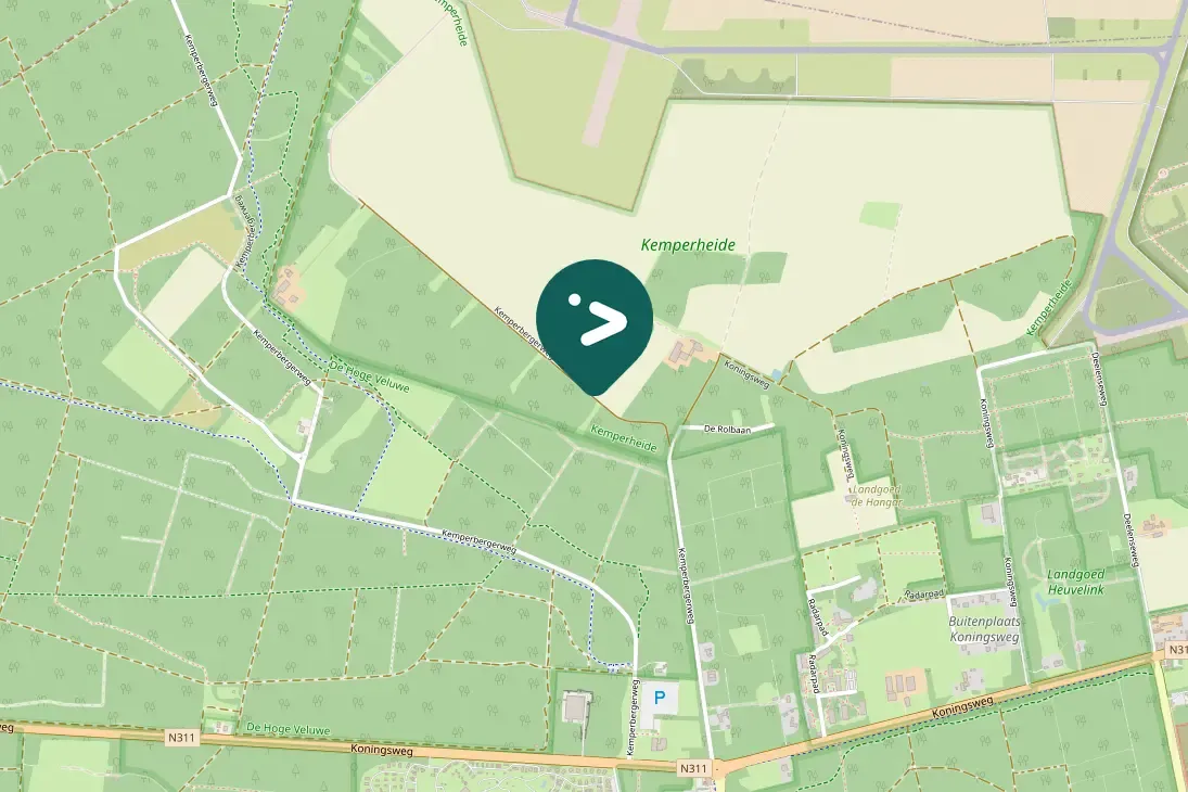 Gespotte Blauwe kiekendief