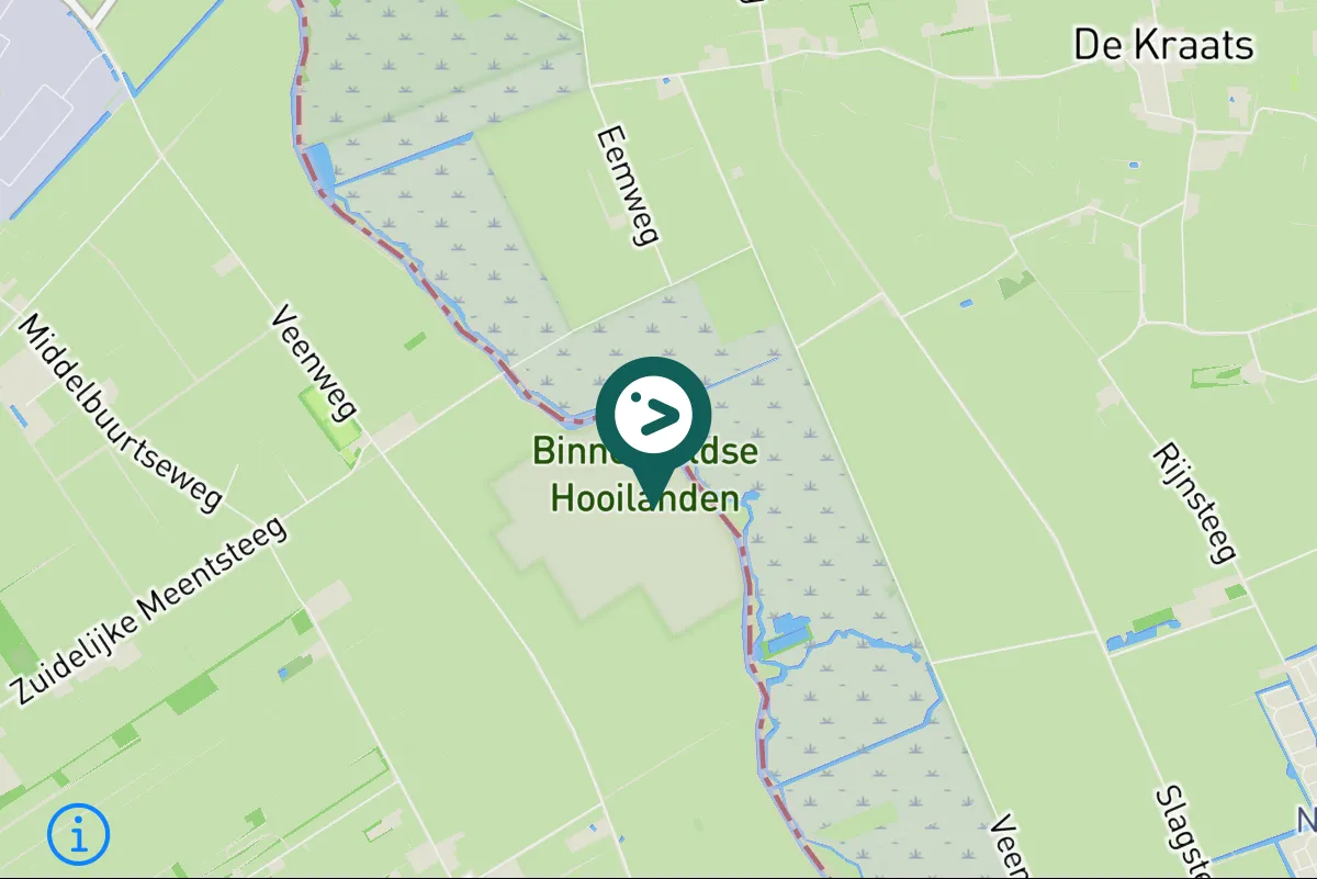 Gespotte Cetti's zanger