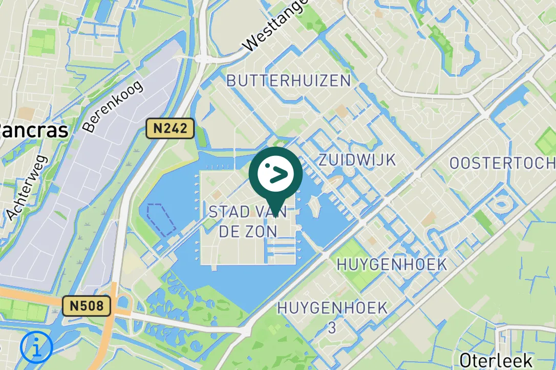 Gespotte Grauwe gans