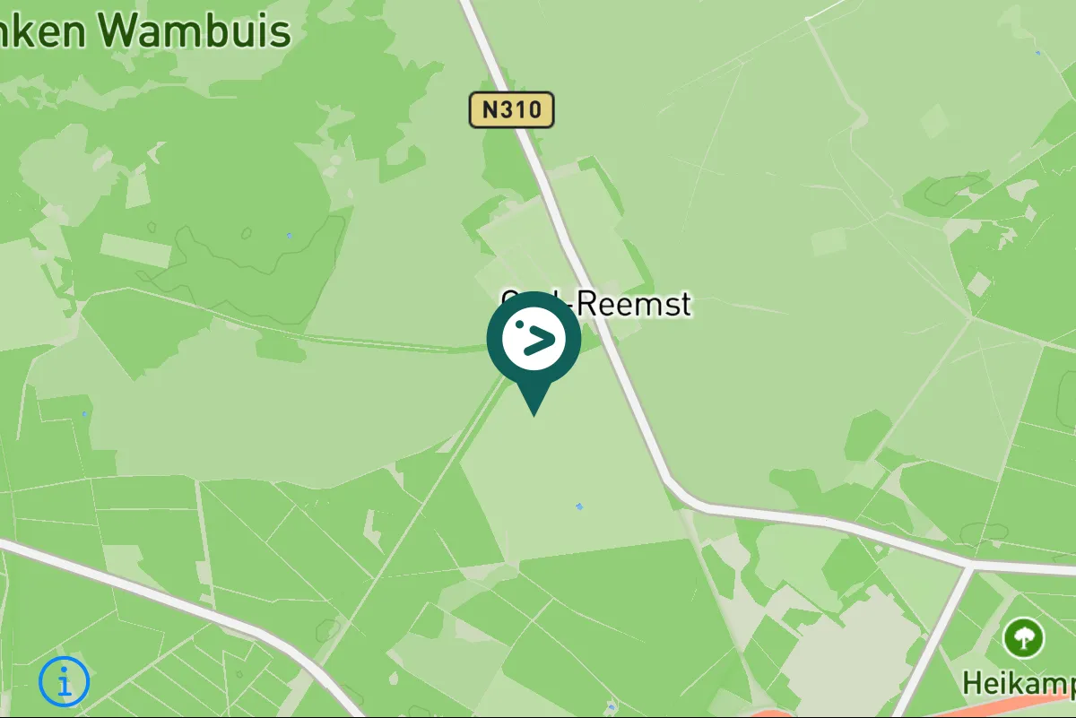 Gespotte Grote bonte specht