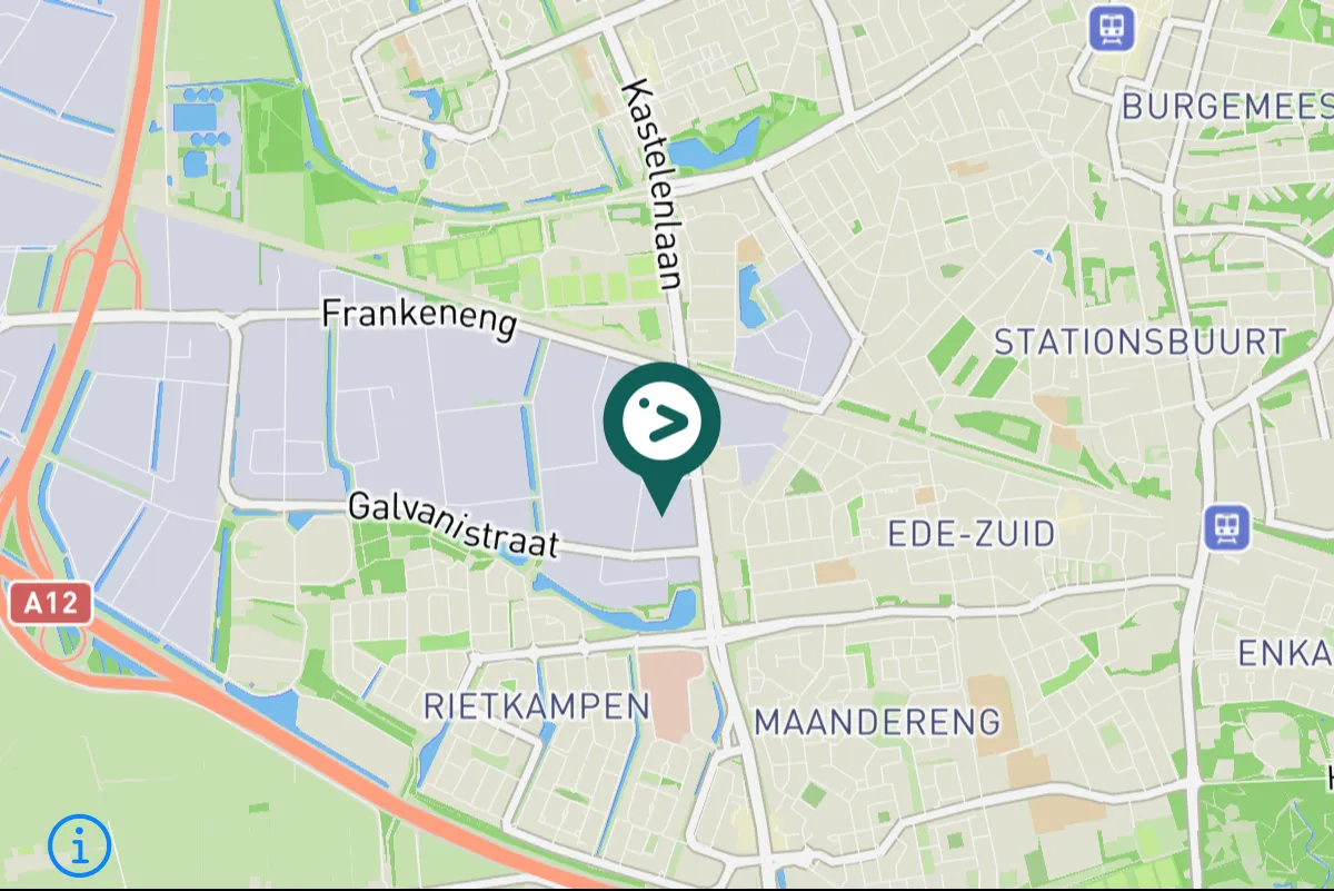 Gespotte Witte kwikstaart