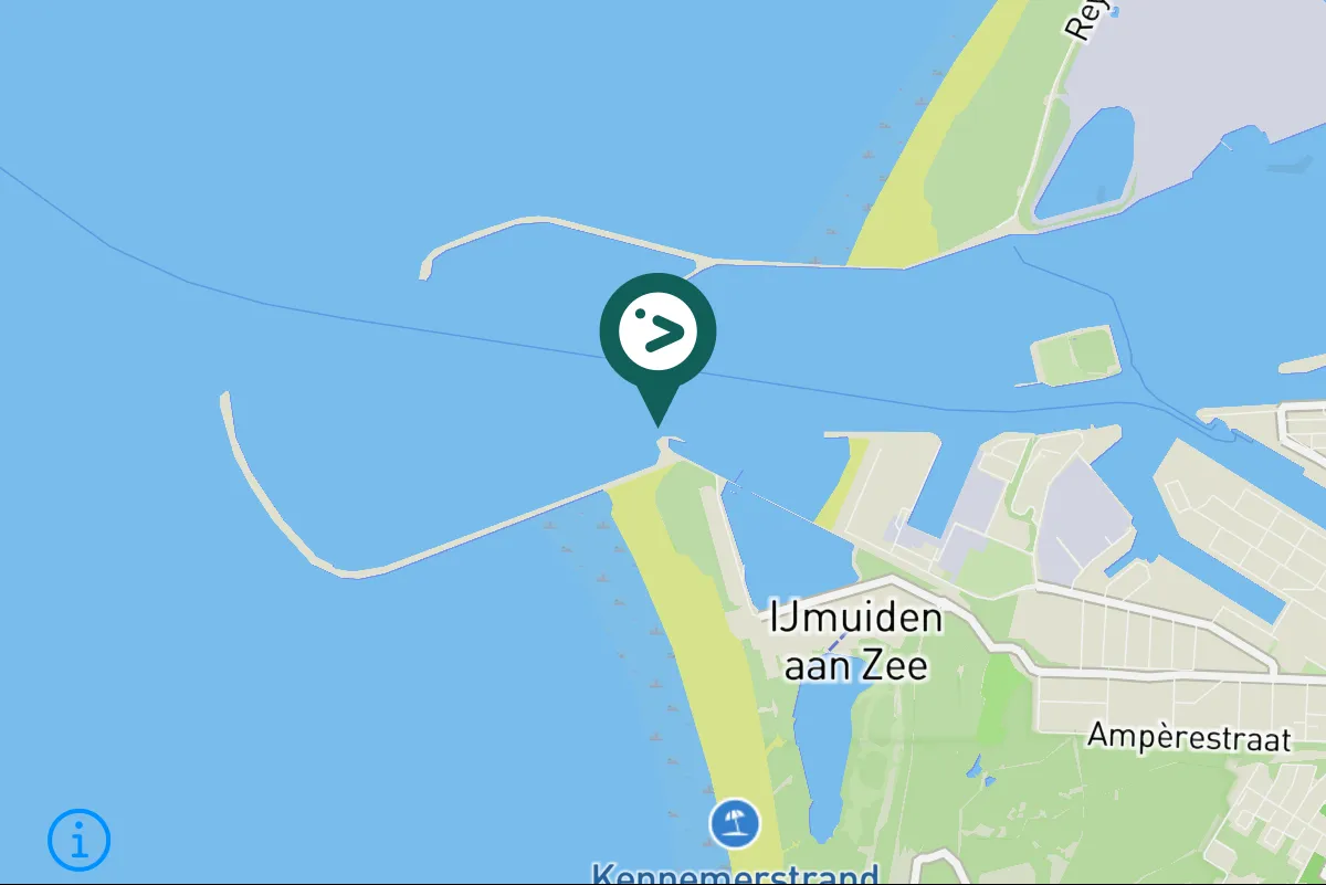 Gespotte Kuifaalscholver