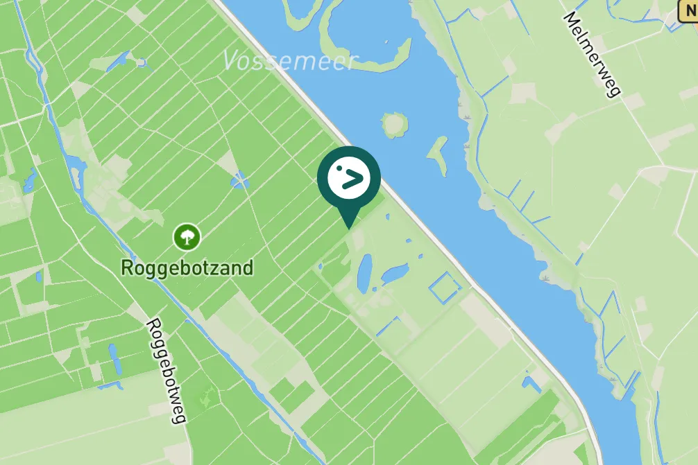 Gespotte Winterkoning