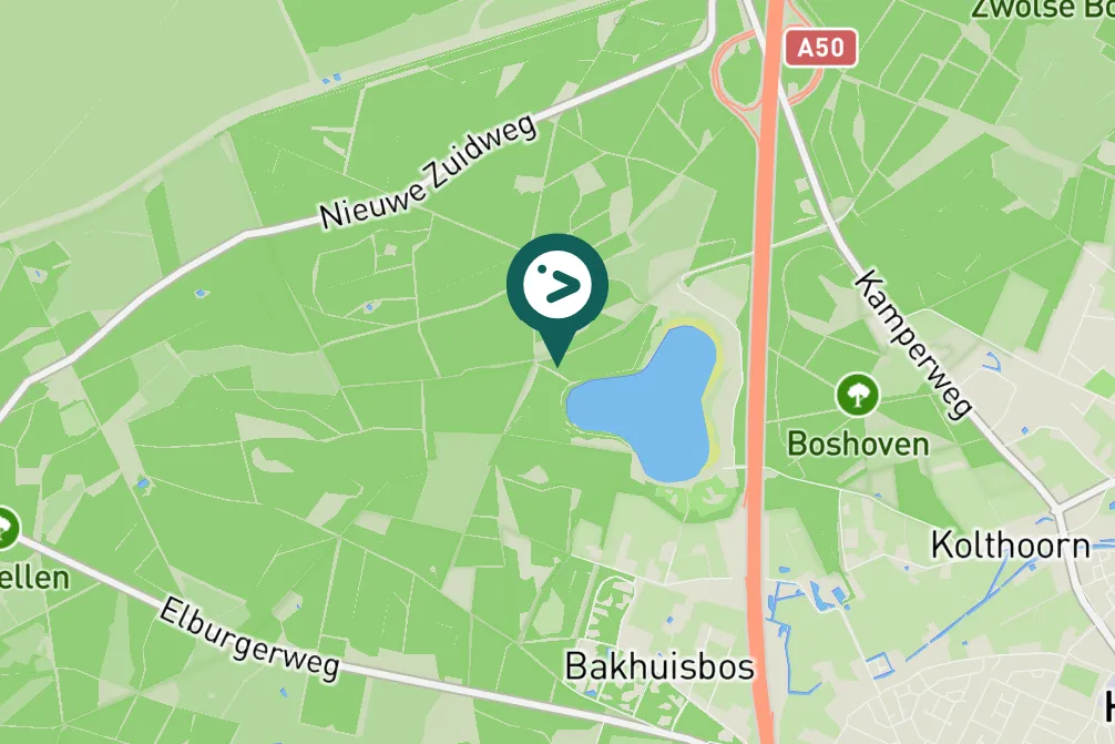 Gespotte Grote bonte specht