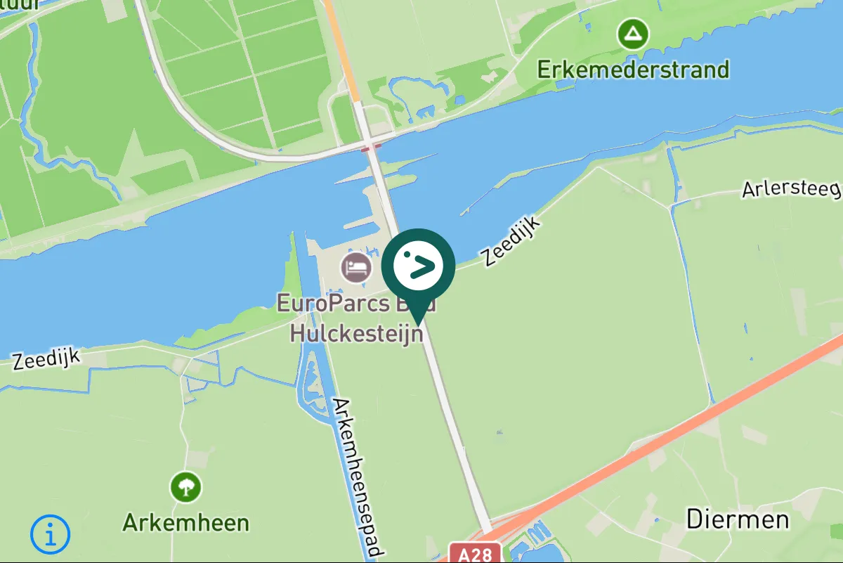 Gespotte Grauwe gans