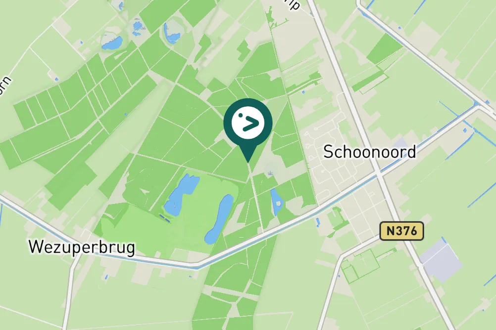 Spotted European Robin