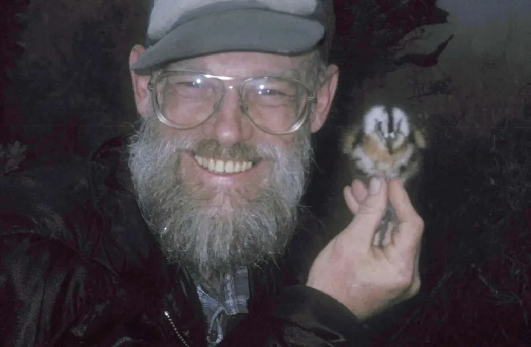 File:Gallinago imperialis Pull,31Jan2003.jpg
