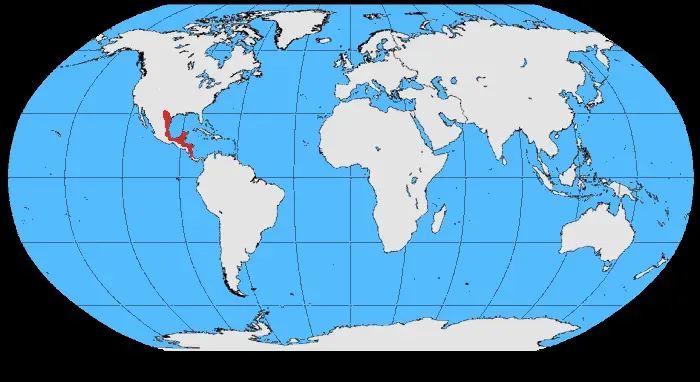 File:Cyanocorax morio map.jpg