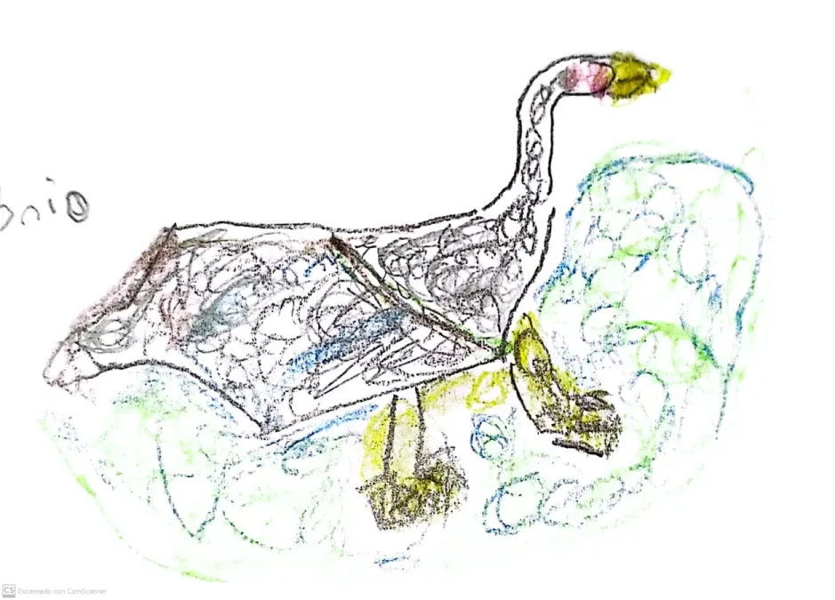 File:Porphyrio martinica - Tingua azul.jpg