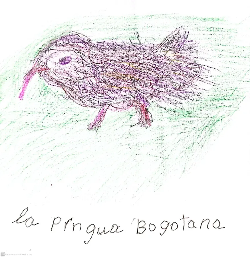 File:Rallus semiplumbeus - Tingua bogotana.jpg