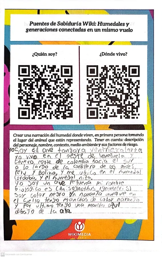 File:Descripción del ave Anisognathus igniventris.jpg