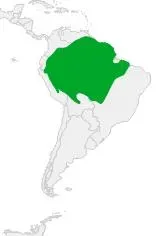 File:Distribución Cercomacra cinerascens.JPG