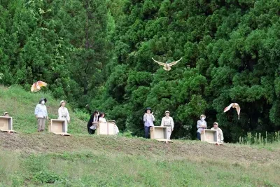 File:Releasing Nipponia nippon in Sado,Niigata, Japan.jpg