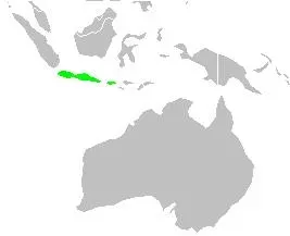 File:Areale Padda oryzivora.JPG