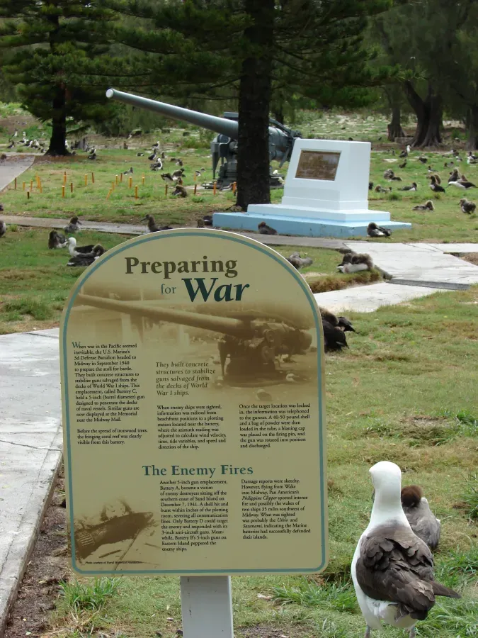 File:Starr 080608-7491 Phoebastria immutabilis and interpretive sign.jpg