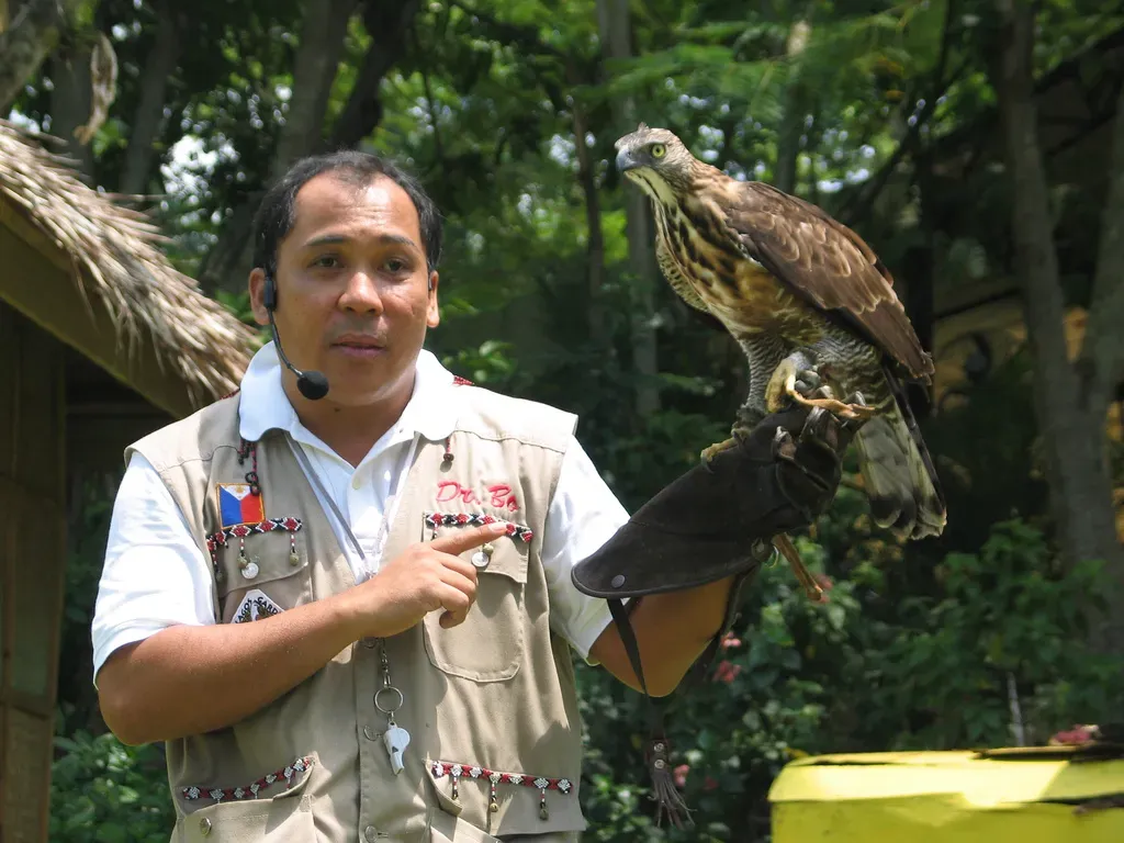 File:Nisaetus philippensis -Malagos Garden Resort, Davao City, Philippines-8a.jpg