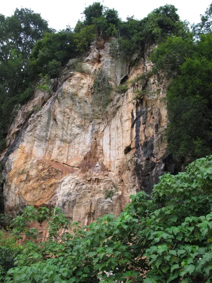 File:Microhierax fringillarius Breeding Place.JPG