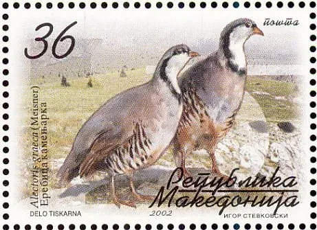 File:Rock Partridge (Alectoris graeca).jpg