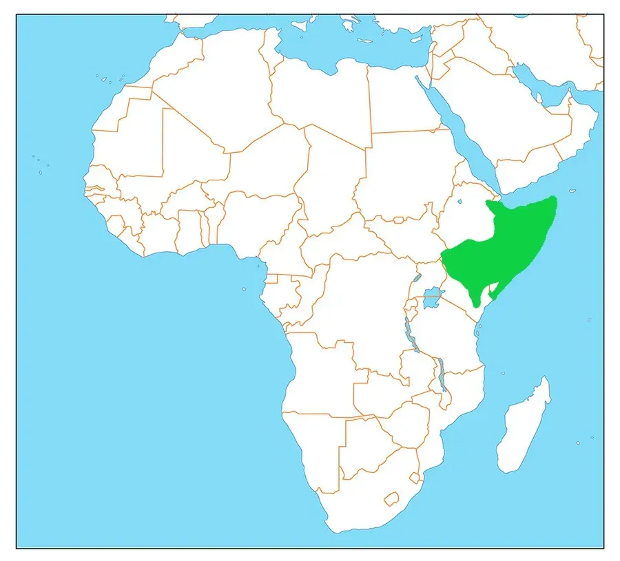 File:Cursorius somalensis dist.jpg
