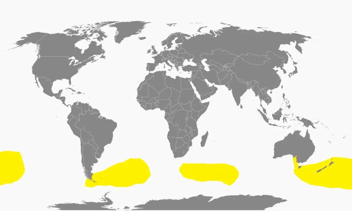 File:Garrodia nereis dist.jpg