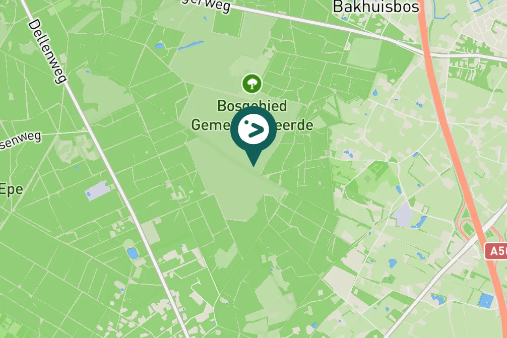 Gespotte Boomkruiper