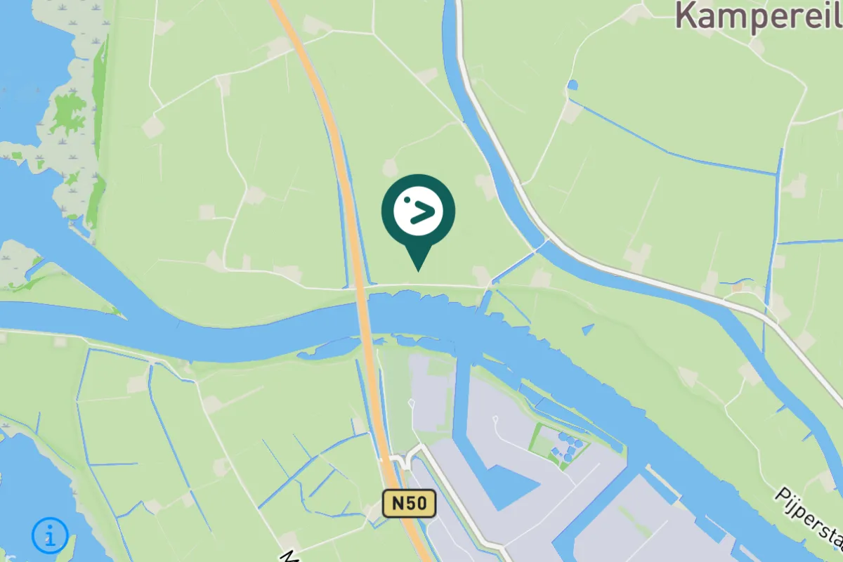 Gespotte Kleine zilverreiger