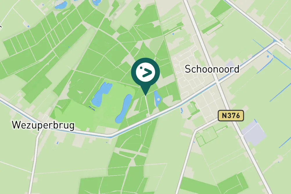 Spotted Great Spotted Woodpecker