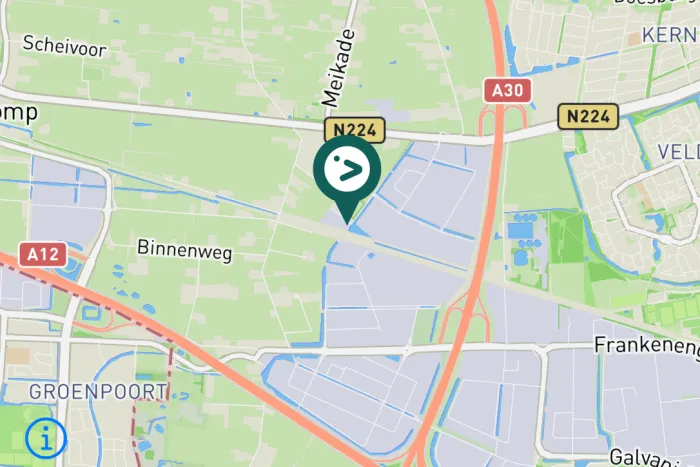 Gespotte Meerkoet