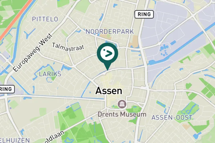 Spotted Black-headed Gull