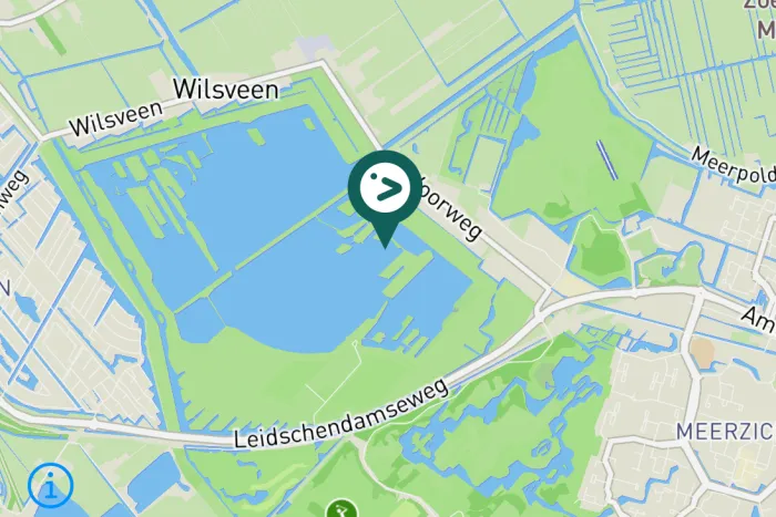 Gespotte Kleine plevier