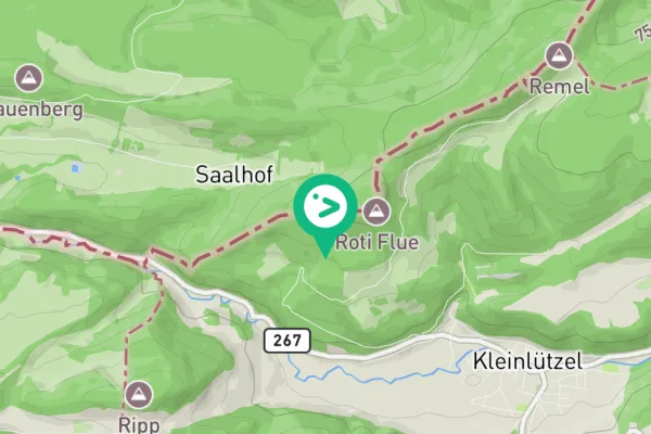 Gespotte Alpenkauw