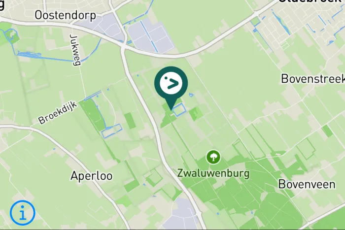 Gespotte Winterkoning