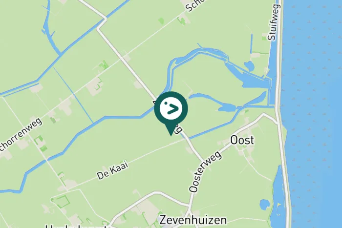 Gespotte Witte kwikstaart