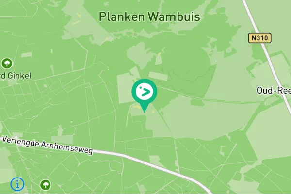 Gespotte Roodborsttapuit