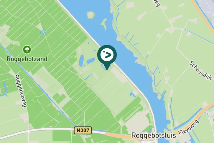 Gespotte Winterkoning