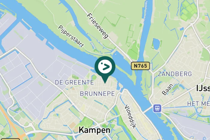 Gespotte Zilvermeeuw
