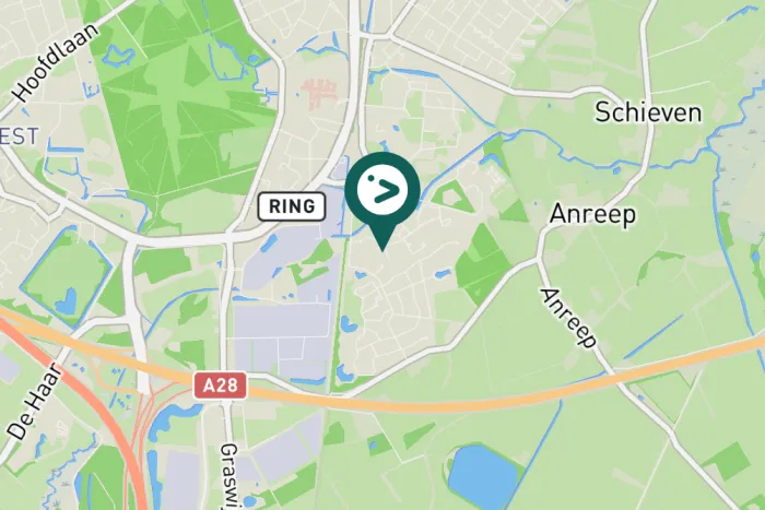 Spotted Great Spotted Woodpecker