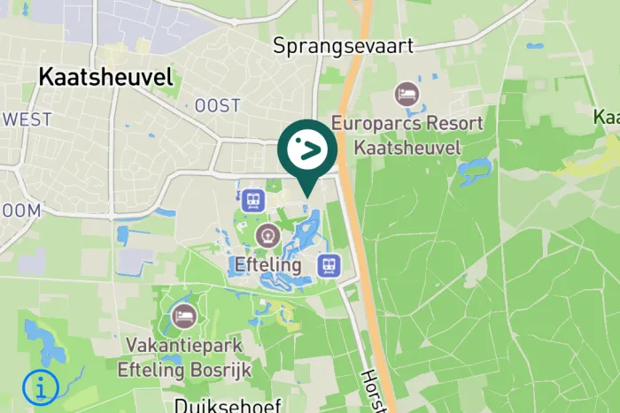 Gespotte Knobbelzwaan