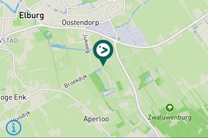 Gespotte Grote bonte specht