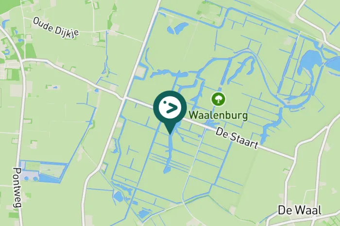 Gespotte Grauwe gans