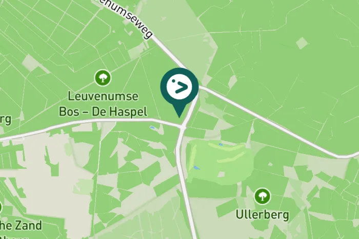 Gespotte Witte kwikstaart