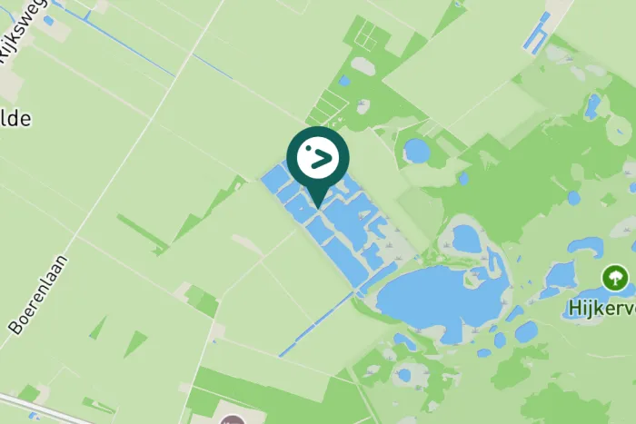 Gespotte Grauwe gans