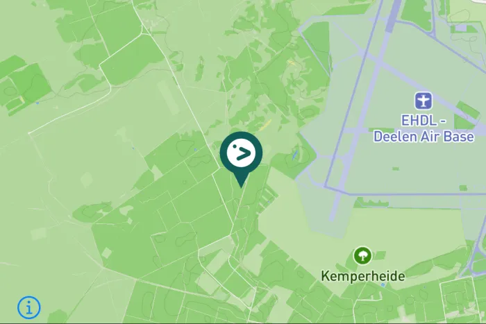 Gespotte Groene specht