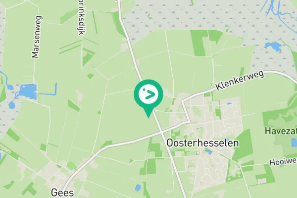 Gespotte Ooievaar