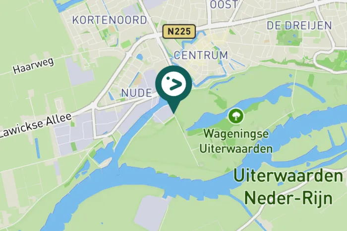 Gespotte Ooievaar