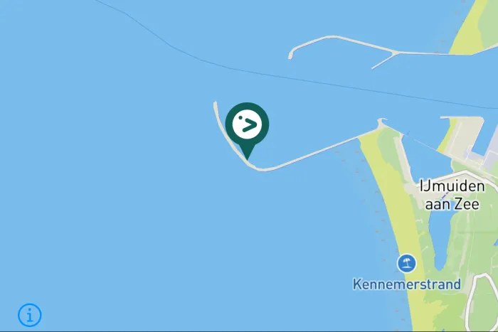 Gespotte Paarse strandloper