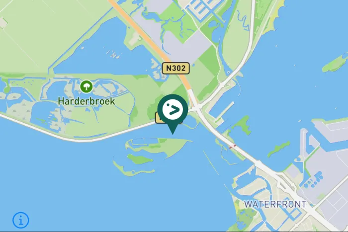 Gespotte Slobeend