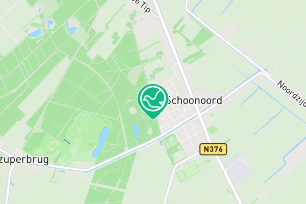 Gespotte Houtduif