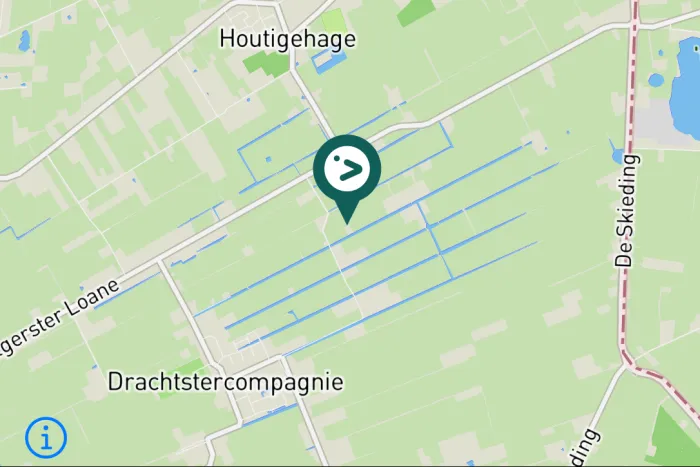 Gespotte Grote gele kwikstaart